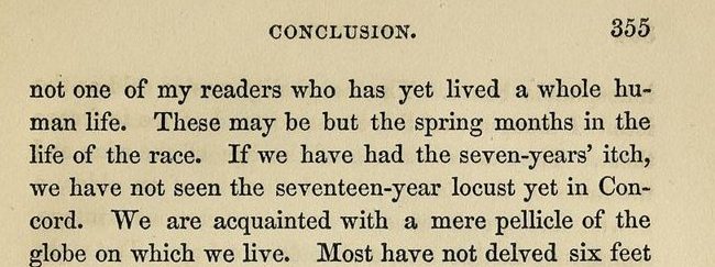 The top of a printed page headed CONCLUSION, 355, with the sentence about the seven-years' itch and the seventeen-year locust